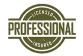 professional license